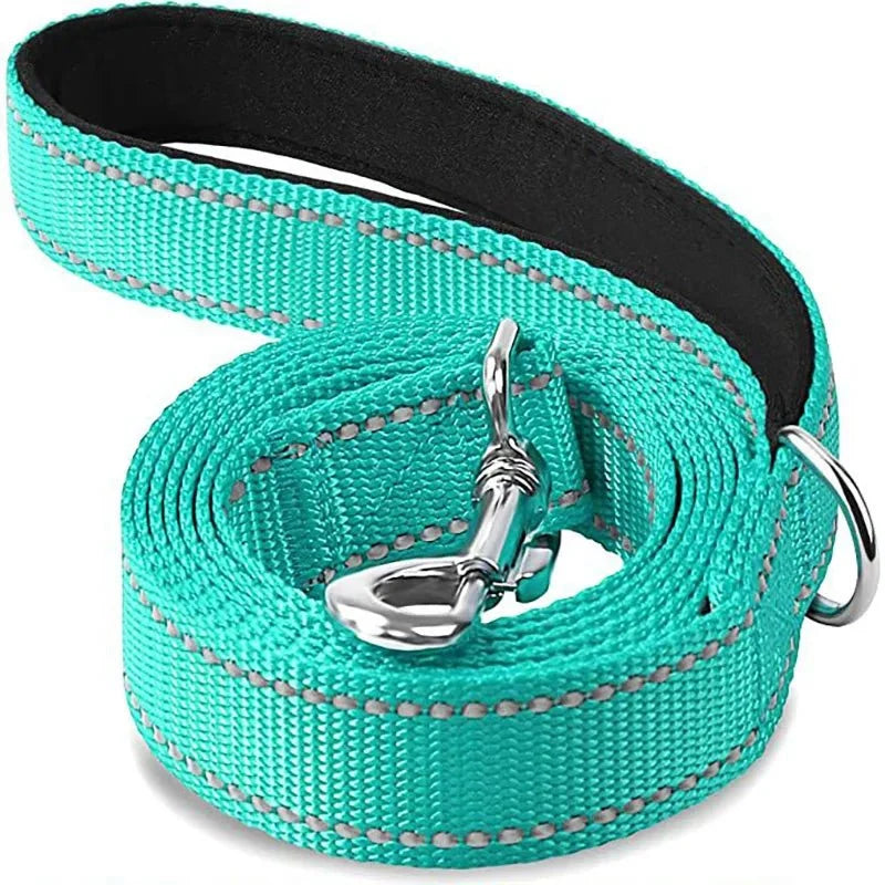 Teal pet leash with swiveling metal hook and black-backed webbing, coiled for display