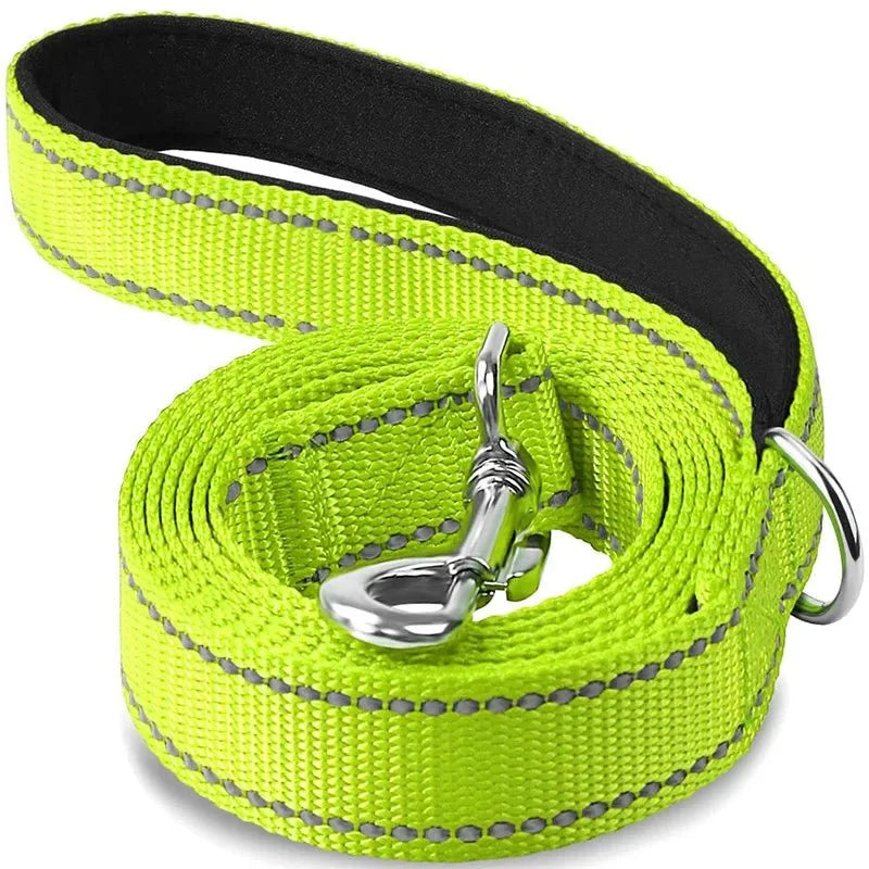 Lime green pet leash with swiveling metal hook and black-backed webbing, coiled
