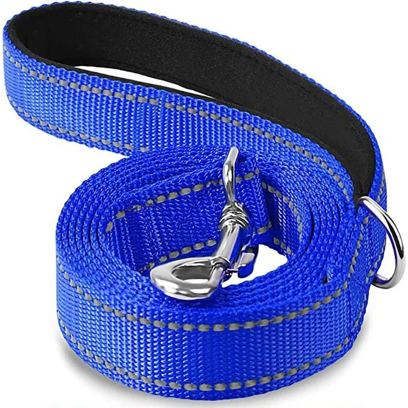 Blue pet leash with swiveling metal hook and black-backed webbing, coiled