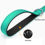 Reflective pet leash with turquoise strap, silver metal ring, and black inner strap