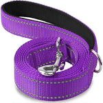 Purple pet leash with swiveling metal hook and black-backed webbing, coiled