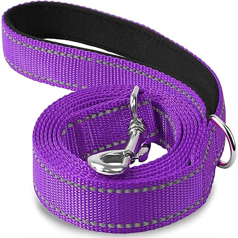 Purple pet leash with swiveling metal hook and black-backed webbing, coiled