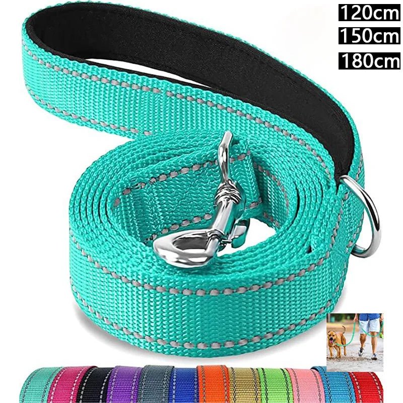 Reflective pet leash with turquoise strap, black lining, and silver D-ring clasp