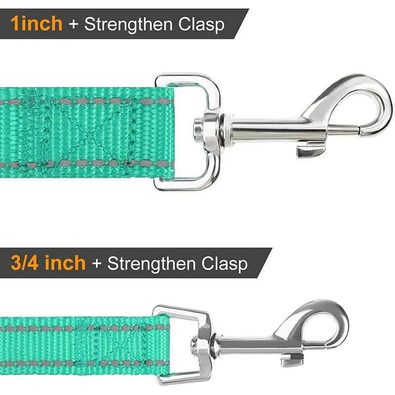 Reflective pet leash clasp detail, turquoise webbing with silver snap hook
