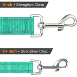 Reflective pet leash clasp detail, turquoise webbing with silver snap hook