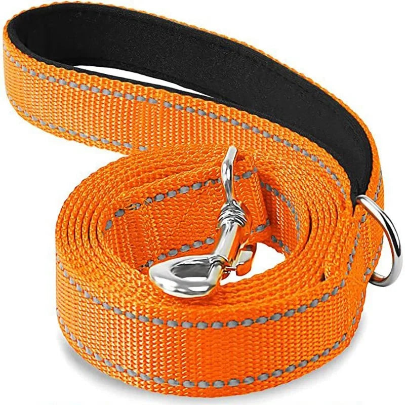 Orange pet leash with swiveling metal hook and black-backed webbing, coiled