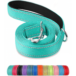 Reflective pet leash, turquoise webbing with black edge and silver metal clasp