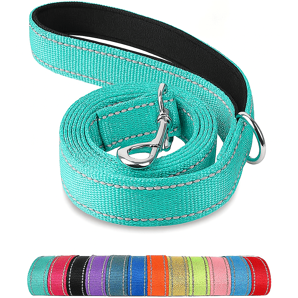Reflective pet leash, turquoise webbing with black edge and silver metal clasp