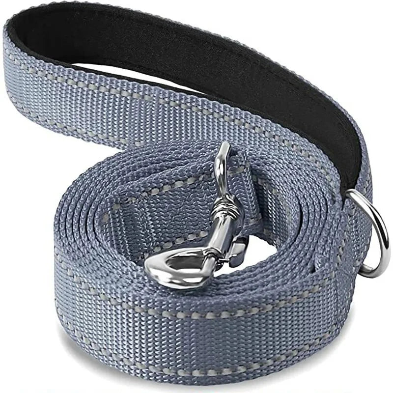 Light blue pet leash with swiveling metal hook and black-backed webbing, coiled
