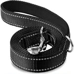 Black pet leash with swiveling metal hook and black-backed webbing, coiled