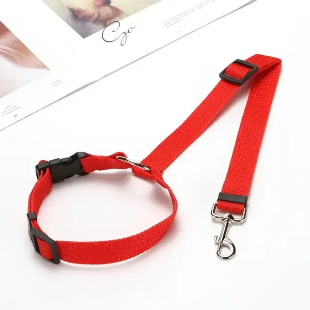 Red pet car safety seat belt harness with padded collar and metal carabiner clip