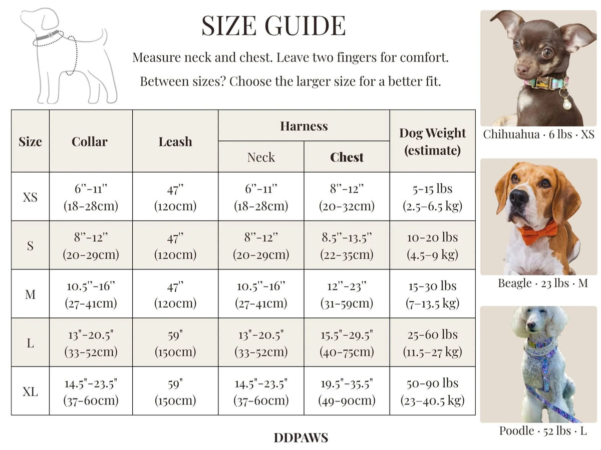 Pet collar and harness size guide chart with dog weight and measurements