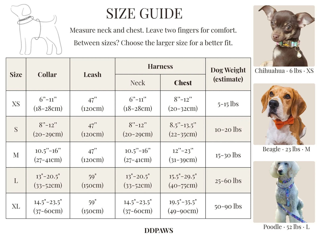 Dog collar and harness size guide: neck, chest and weight ranges
