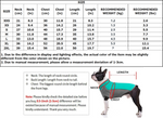 Pet size chart and measurement guide for mesh basketball jersey, including chest and length