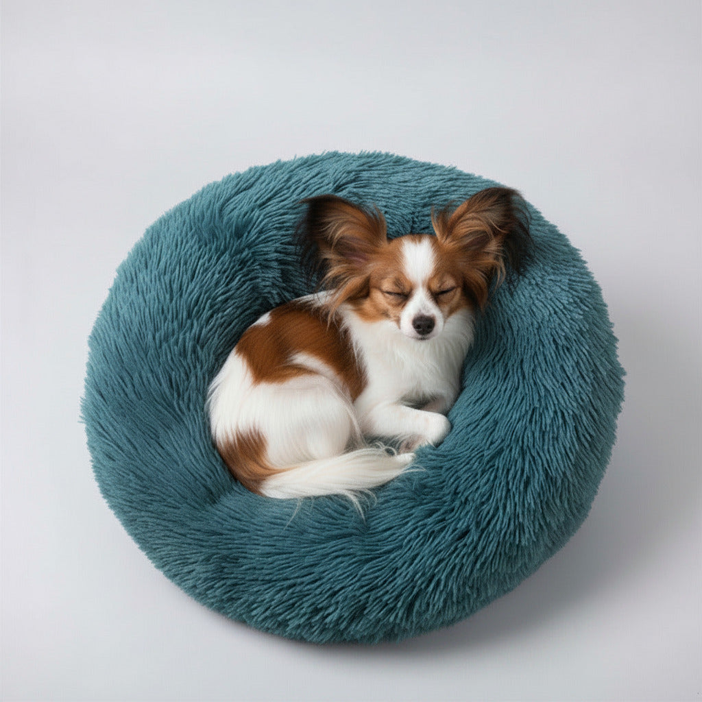 Plush donut pet bed in teal blue, with small tri-color dog curled inside