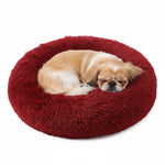 Plush donut pet bed in deep red, with sleeping cream-and-tan dog