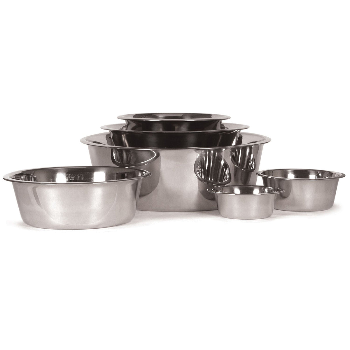 Set of stainless steel pet food and water bowls in assorted sizes