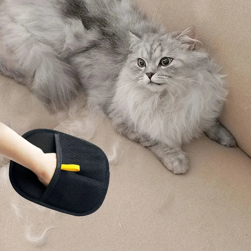 Black pet grooming mitt with yellow tab beside gray cat, ready for hair removal