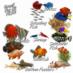 Aquarium fish food feeding guide graphic with various fish species