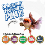 Aquarium fish food promotion graphic with goldfish and assorted boost icons