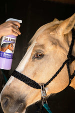Horse detangling conditioner being sprayed onto a horse’s mane with spray bottle