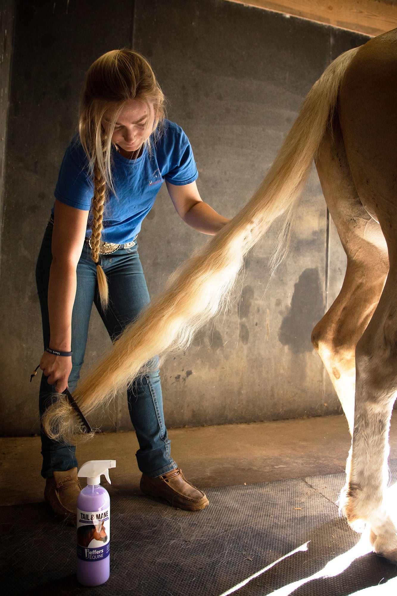 Horse care detangler being applied to a horse’s tail while a person holds spray