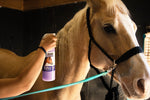 Horse detangling spray bottle held near a horse’s mane and head