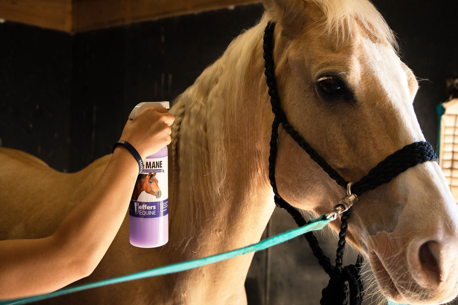 Horse detangling spray bottle held near a horse’s mane and head