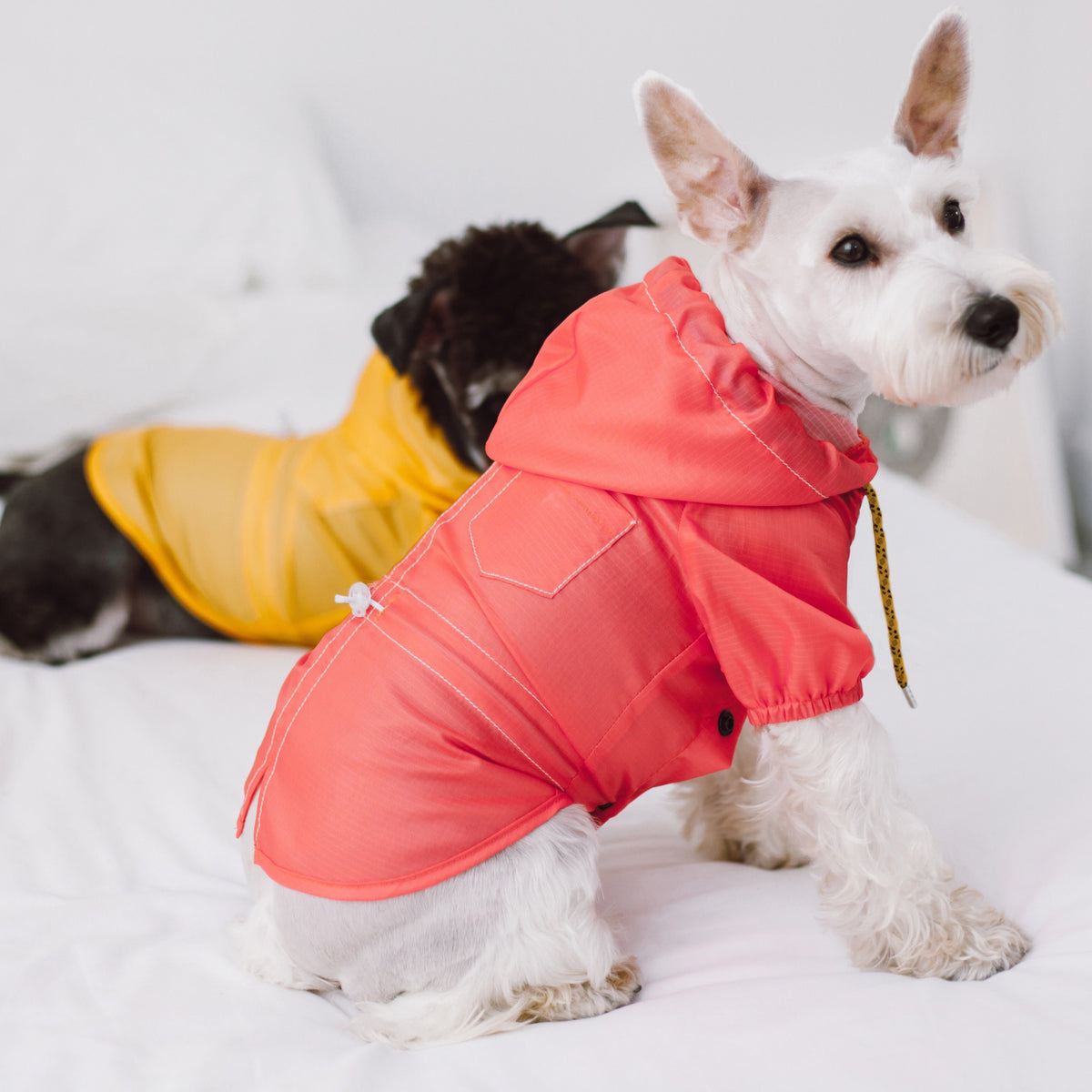 Red waterproof dog raincoat with hood and drawstrings, snap front, split-vent hem.