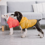 Two dogs wearing red and yellow waterproof raincoats with hoods and snap fronts, split-vent.