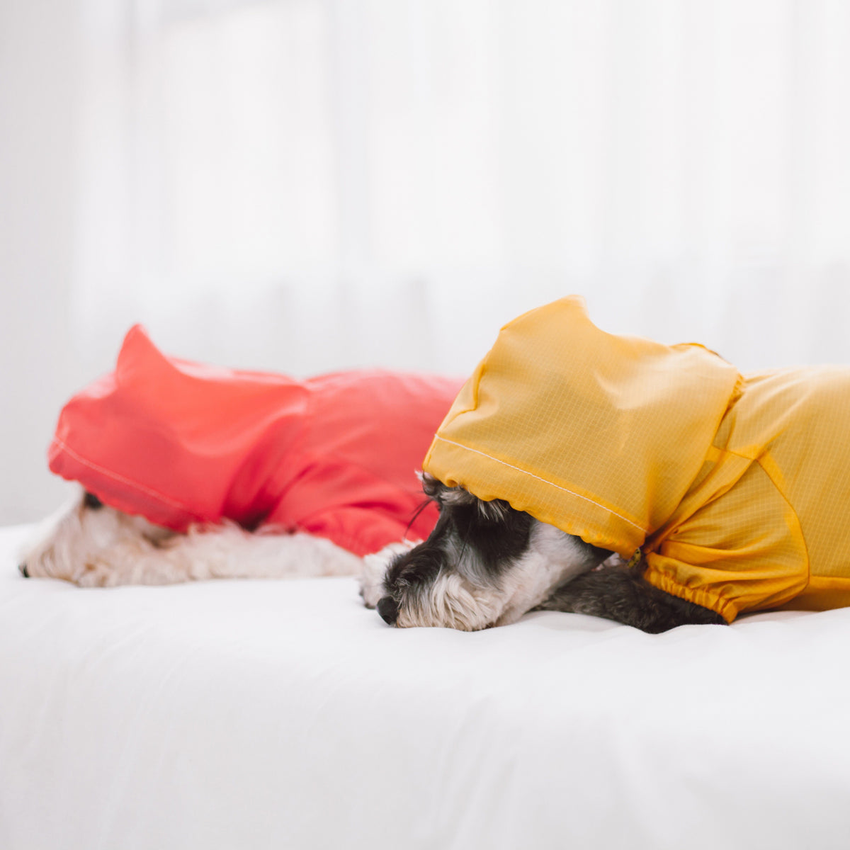 Red and yellow waterproof dog raincoats with hoods and snap fronts, split-vent, close-up.