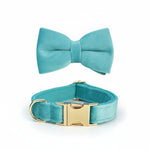 Turquoise velvet bowtie collar with gold rectangular buckle