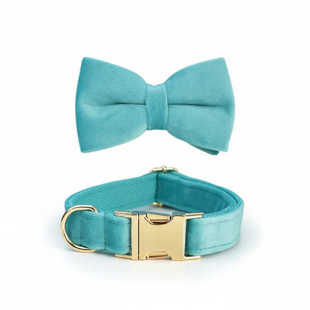 Turquoise velvet bowtie collar with gold rectangular buckle