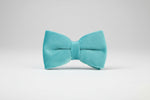 Turquoise velvet bow tie