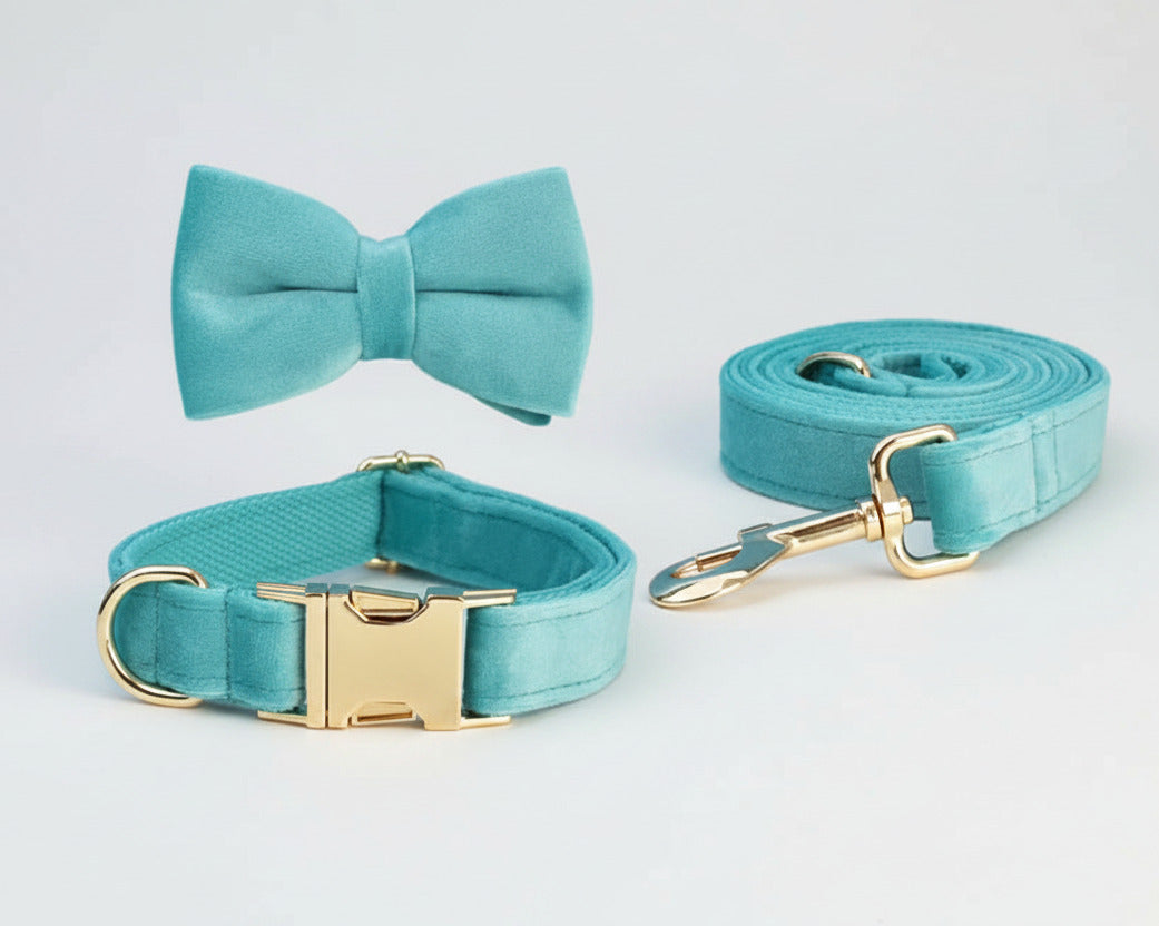 Turquoise velvet bowtie collar with matching leash set