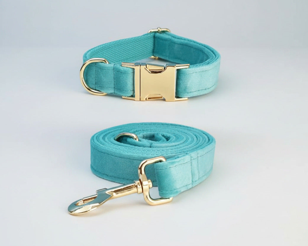 Turquoise velvet collar and matching leash with gold buckle and clip