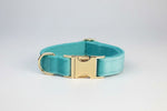 Turquoise velvet collar with gold buckle and D-ring