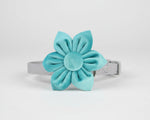 Turquoise velvet flower accessory on a collar strap