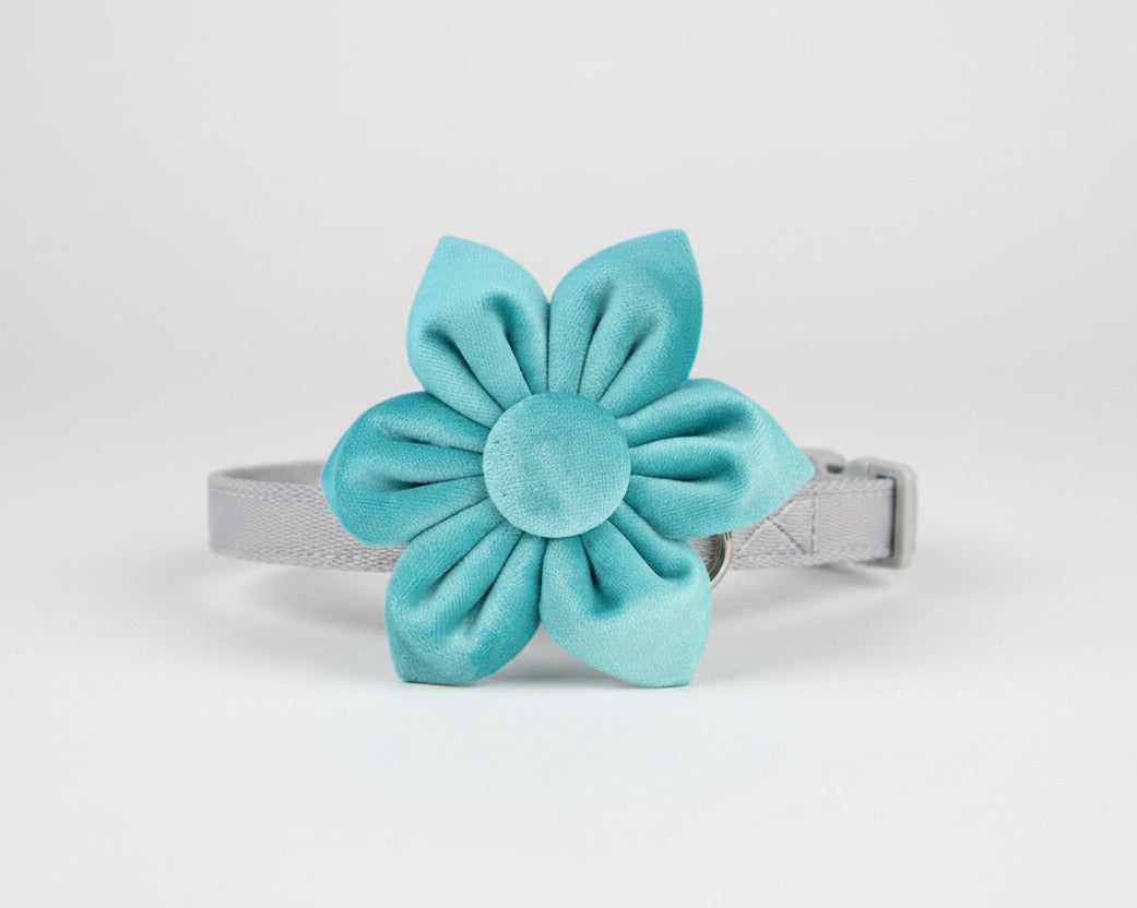 Turquoise velvet flower accessory on a collar strap