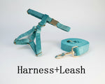 Turquoise velvet harness with matching leash