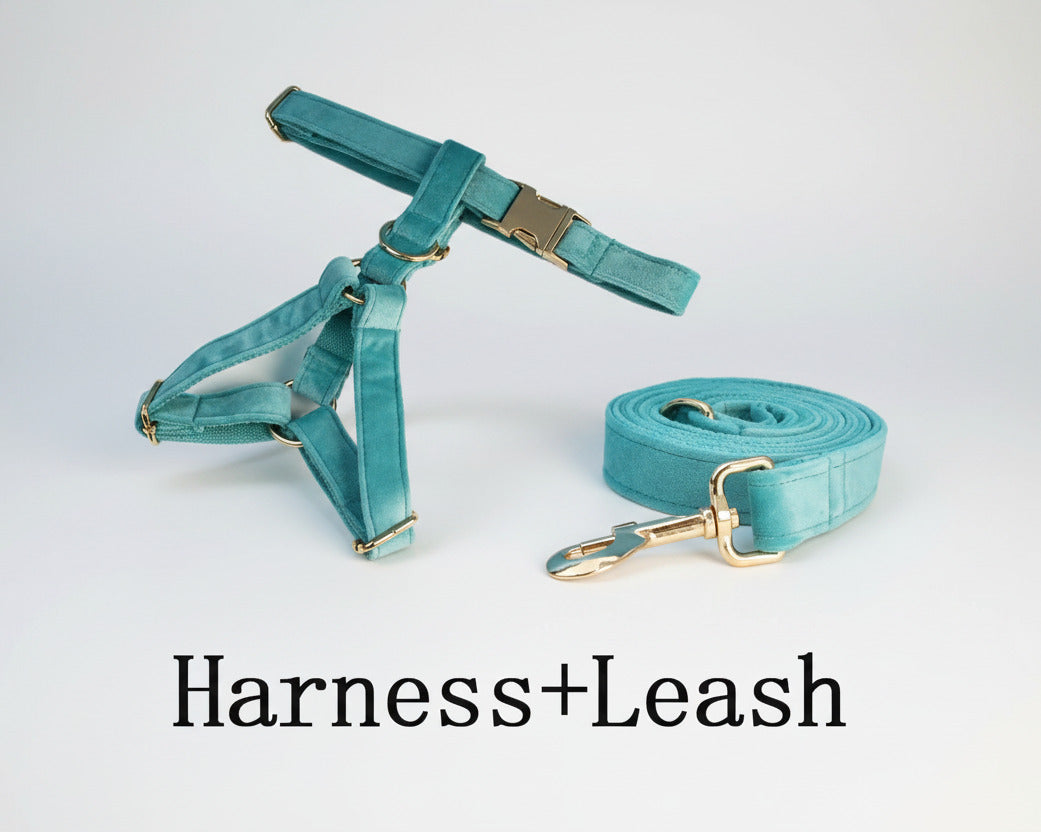 Turquoise velvet harness with matching leash