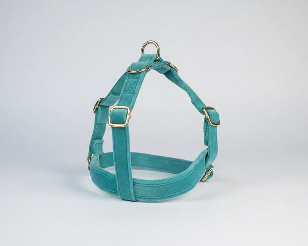 Turquoise velvet harness with gold hardware and side straps