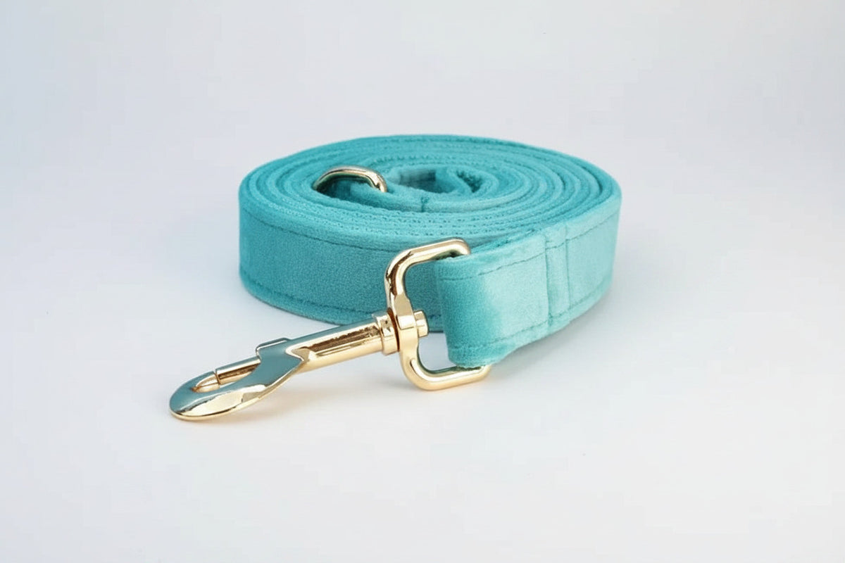Turquoise velvet leash with gold clip and adjustable strap