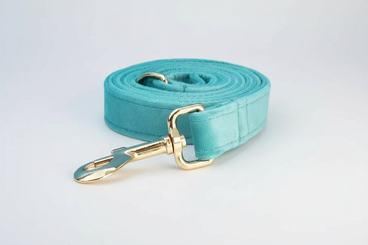Turquoise velvet leash with gold clip and adjustable strap