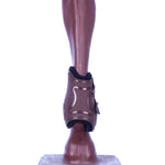 Brown fetlock boot with stitched toe cap and side straps