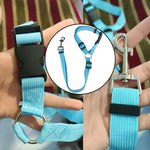 Light blue pet car seat belt harness with buckle and leash-style ring clip