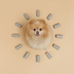 Dog with light tan dog waste bag rolls arranged around it