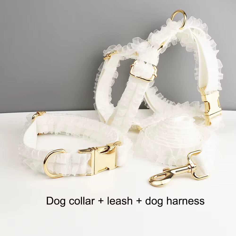 White lace dog collar, leash, and harness set with gold hardware