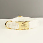 White lace dog collar close-up with gold buckle and ID label