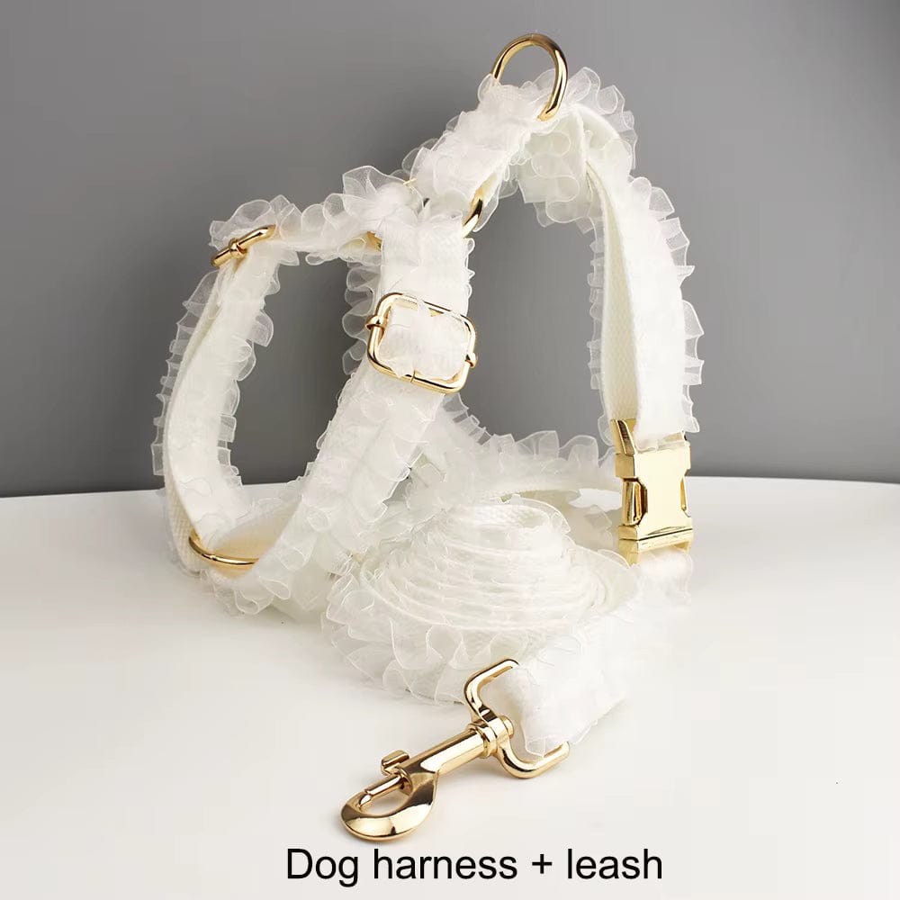 White lace dog harness and leash set with gold clips